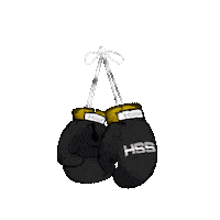 Boxing Holywings Sticker by HW Group