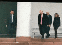 Donald Trump GIF
