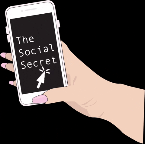 Socialmedia GIF by The Social Secret