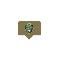 MUSICCITYBOWL  Sticker