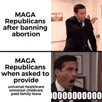 The Office gif. Splitscreen. At the top, Steve Carrell as Michael reacts happily to something exciting along with the caption, “MAGA Republicans after banning abortion. At the bottom, Michael reacts to bad news, yelling, “No, No, No, No, Nooooooooooo!” next to the caption, “MAGA Republicans when asked to provide universal healthcare, universal childcare, and paid family leave.” 
