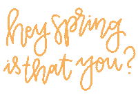 Is That You Orange Sticker