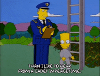 the simpsons episode 25 GIF