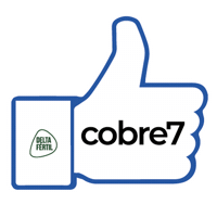 Curtida Cobre Sticker by Delta Fértil