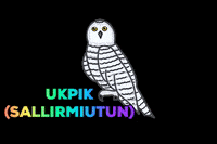 Inuvialuit GIF by Tusaayaksat Magazine