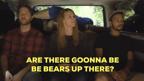 Bears Camping GIF by IFHT Films