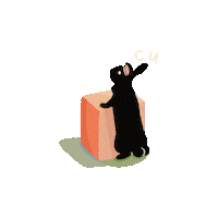 Bunny Rabbit Sticker