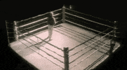 momma said knock you out GIF by LL Cool J 