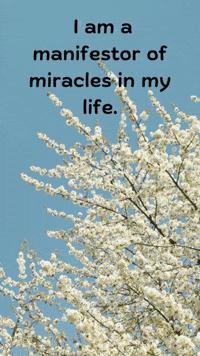 Flower Affirmation GIF by Maria Johnsen