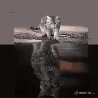 FlySMarketing motivation future inspiration inspirational GIF