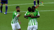 Real Betis Carvalho GIF by Real Betis Balompié