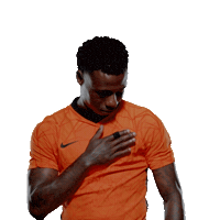 Nederlands Elftal Euro2020 Sticker by OnsOranje