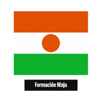 Niger Flag Sticker by Formación Ninja