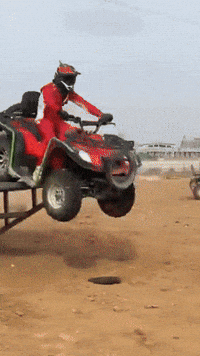 mugart surprise shopping gift delivery GIF