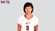 The Valley Mvc GIF by Missouri Valley Conference