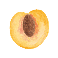 wineandsomething wine fruit vino fruits Sticker