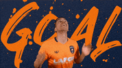 Usl League One Soccer GIF by Lansing Ignite FC