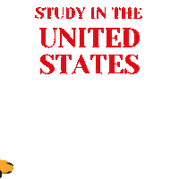 Usa America Sticker by idp turkey