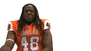 Head Shake Sticker by Carson-Newman Athletics