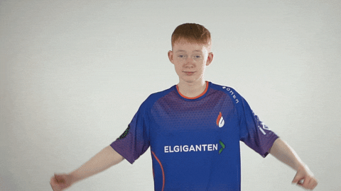 Sad Loss GIF by Copenhagen Flames