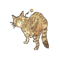 Cat ねこ Sticker