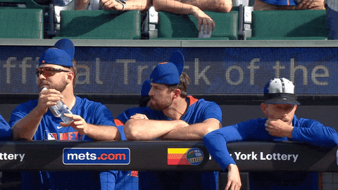 Baseball Team GIF by New York Mets
