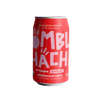 Mix Bebida Sticker by Kombuchacha