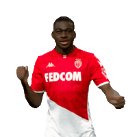 Ligue 1 Football Sticker by AS Monaco