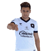 Liga Mx Gallos Sticker by Club Querétaro
