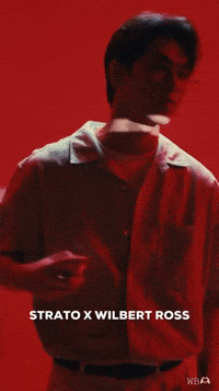 Kino Wb GIF