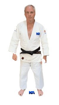 Martial Arts Thumbs Up Sticker by NA Effective Fighting