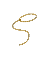 Vamos Red Lights Sticker by VALÉ