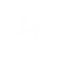 Tiger 세븐틴 Sticker