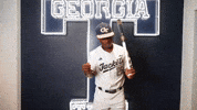 Georgia Tech Baseball GIF by Georgia Tech Yellow Jackets