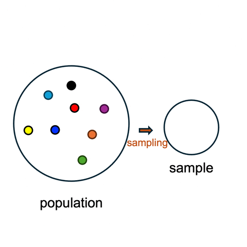 tycheleturner giphyupload math statistics sampling GIF