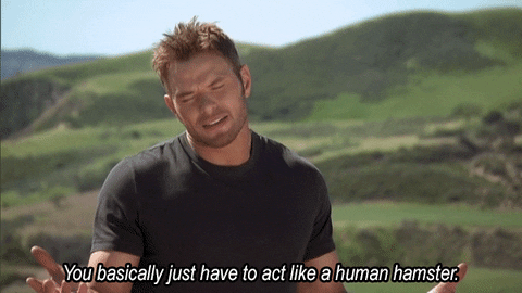 GIF by Bullseye