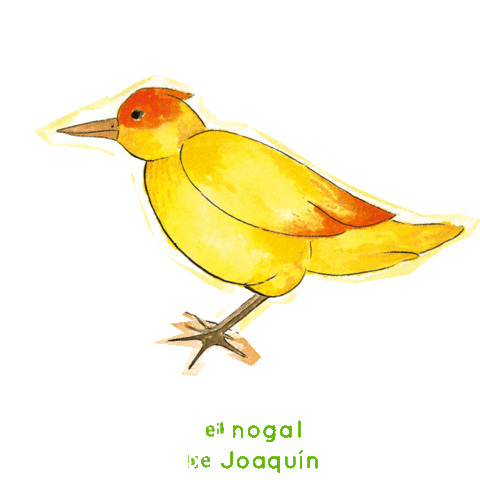 Bird Butterfly Sticker by PlanetadeLibros Argentina