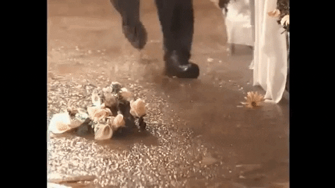 noelceballos giphygifmaker GIF