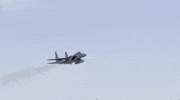 toastman1156 america military eagle airforce GIF