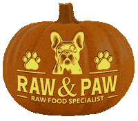 Jack O Lantern Dog Sticker by Raw And Paw Co