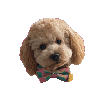 Feelgoodclub dog coffee good puppy Sticker