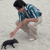 I Miss You Beach GIF