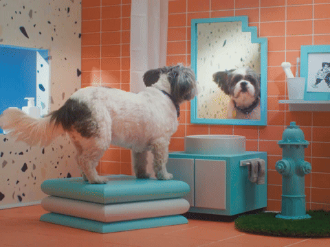 Not Afraid to Love...