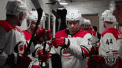 ice hockey fist bump GIF by NHL