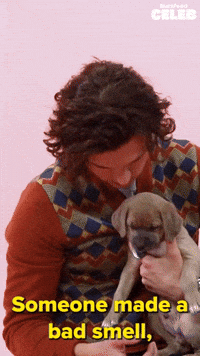 Someone Made A Bad Smell