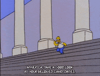 homer simpson election GIF