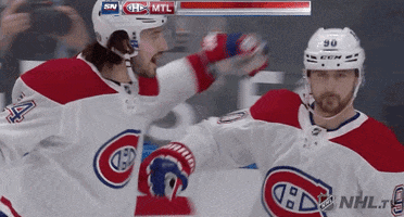 Ice Hockey Hug GIF by NHL