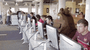 boomer GIF by Missouri State University