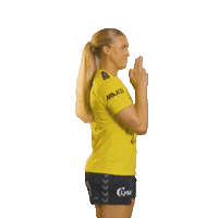 Rema1000Ligaen Sticker by Norsk Topphåndball