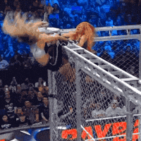 Hanging Upside Down GIF by Trish Stratus